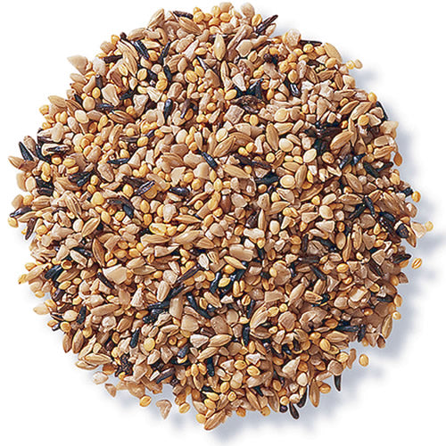 Duncraft Fancy Finch Mix Wild Bird Seed, 5-lb bag, featuring a blend of tiny seeds like Nyjer®, sunflower hearts, canary seed, and millet.