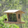 Rose-breasted grosbeak perched on a large-capacity cedar hopper bird feeder filled with mixed seed.