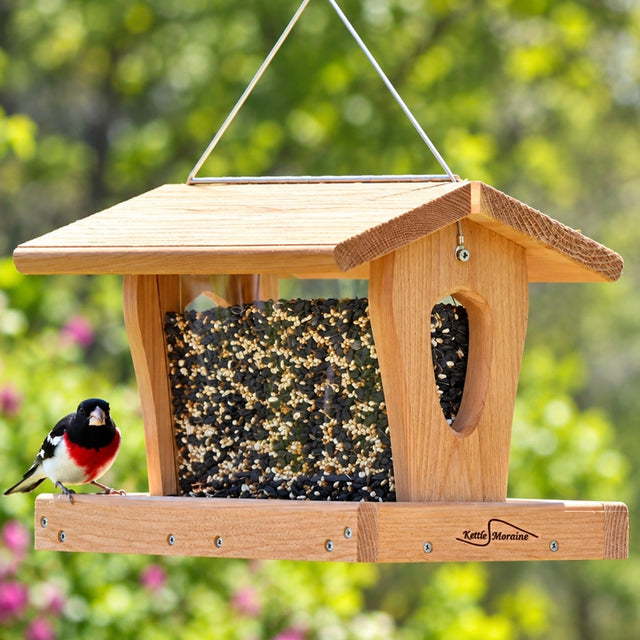 Rose-breasted grosbeak perched on a large-capacity cedar hopper bird feeder filled with mixed seed.