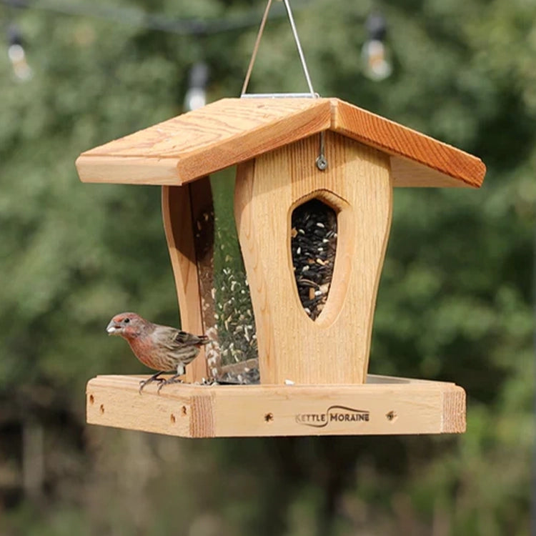 House finch perched on a cedar hopper bird feeder with open feeding tray and visible seed reservoir.