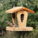 House finch perched on a cedar hopper bird feeder with open feeding tray and visible seed reservoir.