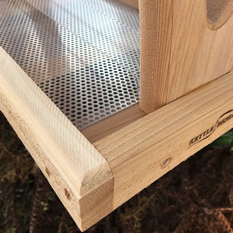 Compact cedar hopper bird feeder featuring screened tray, clear seed panels, and hanging cable.