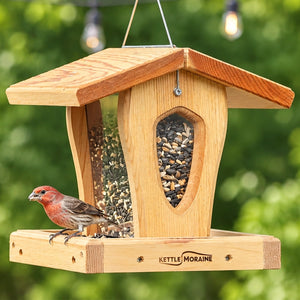 House finch perched on a cedar hopper bird feeder with open feeding tray and visible seed reservoir.