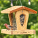 House finch perched on a cedar hopper bird feeder with open feeding tray and visible seed reservoir.