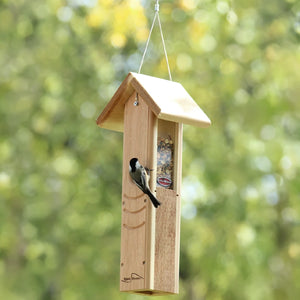 Black-capped chickadee feeding from a hanging cedar mealworm feeder with protective roof.