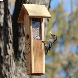 Red-bellied woodpecker feeding from a hanging cedar mealworm feeder filled with dried mealworms.