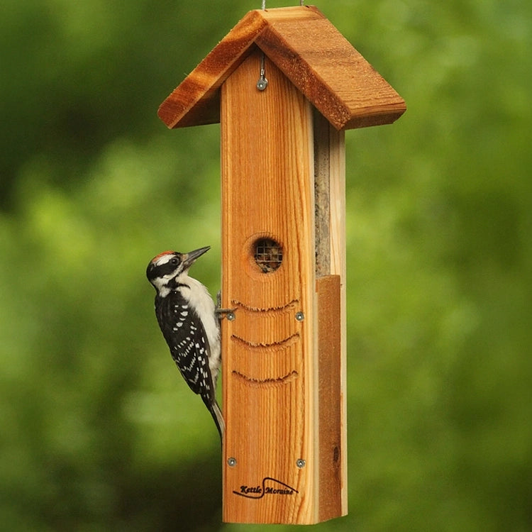 A woodpecker feeding from a hanging cedar mealworm feeder with protective roof.