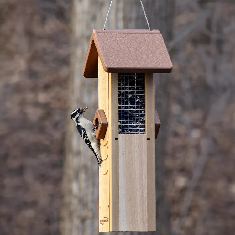 Downy woodpecker feeding from a hanging sunflower seed feeder in a woodland setting.