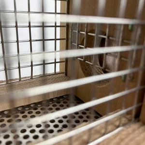Interior view of a sunflower seed feeder showing wire mesh panels and perforated metal seed tray.