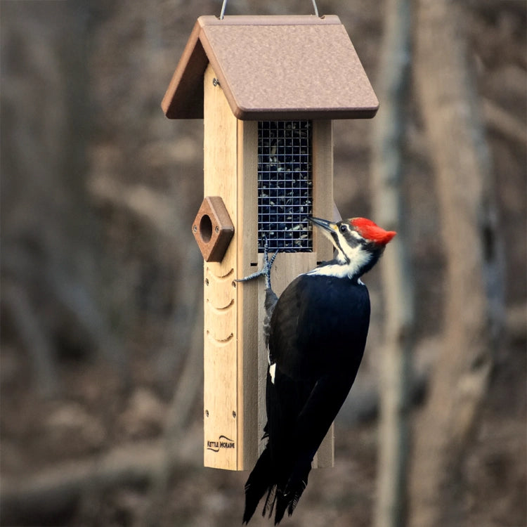 Pileated woodpecker feeding from a hanging sunflower seed feeder with tail-prop design.