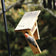 ed-bellied woodpecker feeding from a hanging cedar tail-prop bird feeder outdoors.