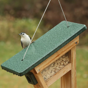 White-breasted nuthatch perched on a hanging tail-prop peanut feeder with peanut-filled reservoir.