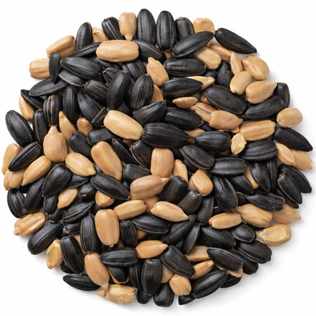 Mixture of black sunflower seeds and whole sunflower hearts on a white background