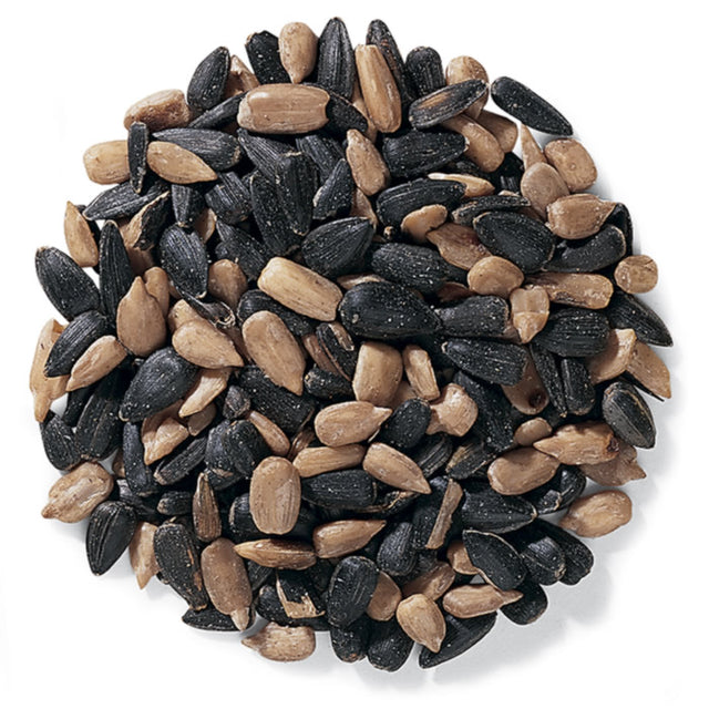 Duncraft Best Basic Blend Wild Bird Seed, 5-lb bag, featuring a 50/50 mix of black oil sunflower seeds and whole sunflower hearts.