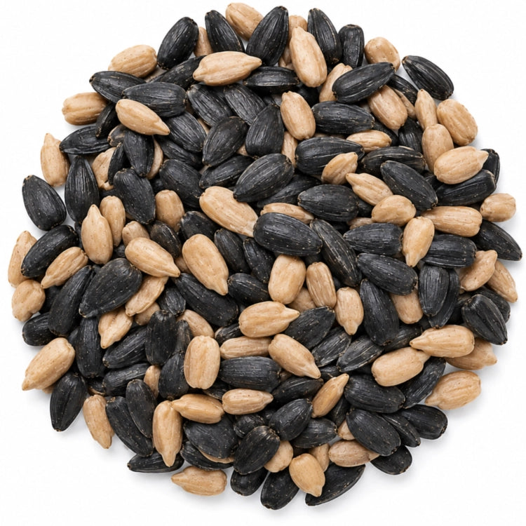Mixture of black sunflower seeds and whole sunflower hearts on a white background