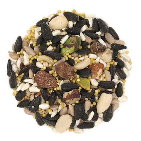 Duncraft All Season Blend Wild Bird Seed, 5-lb bag, featuring a mix of nuts, seeds, and fruits to attract diverse bird species.