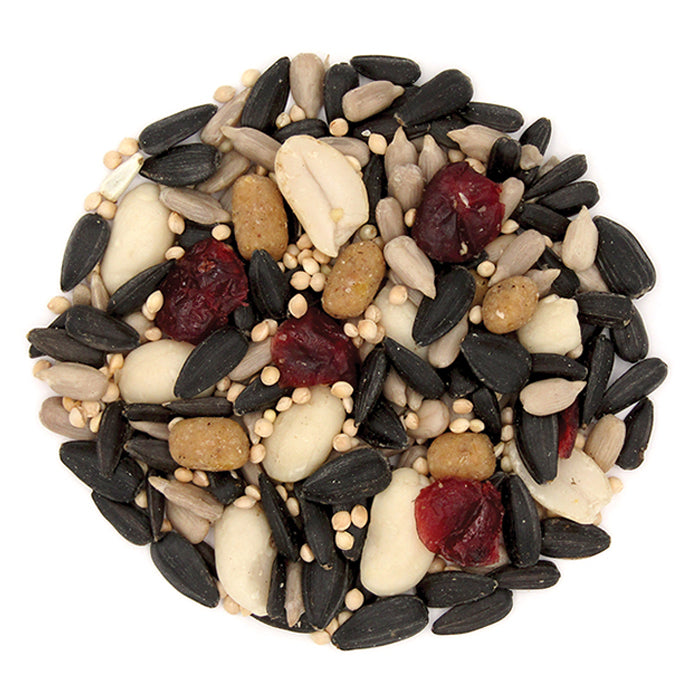 Duncraft Very Berry Blend Wild Bird Seed, 5-lb bag. A mix of nuts, seeds, and dried berries designed to attract fruit-eating birds and provide essential nutrients.