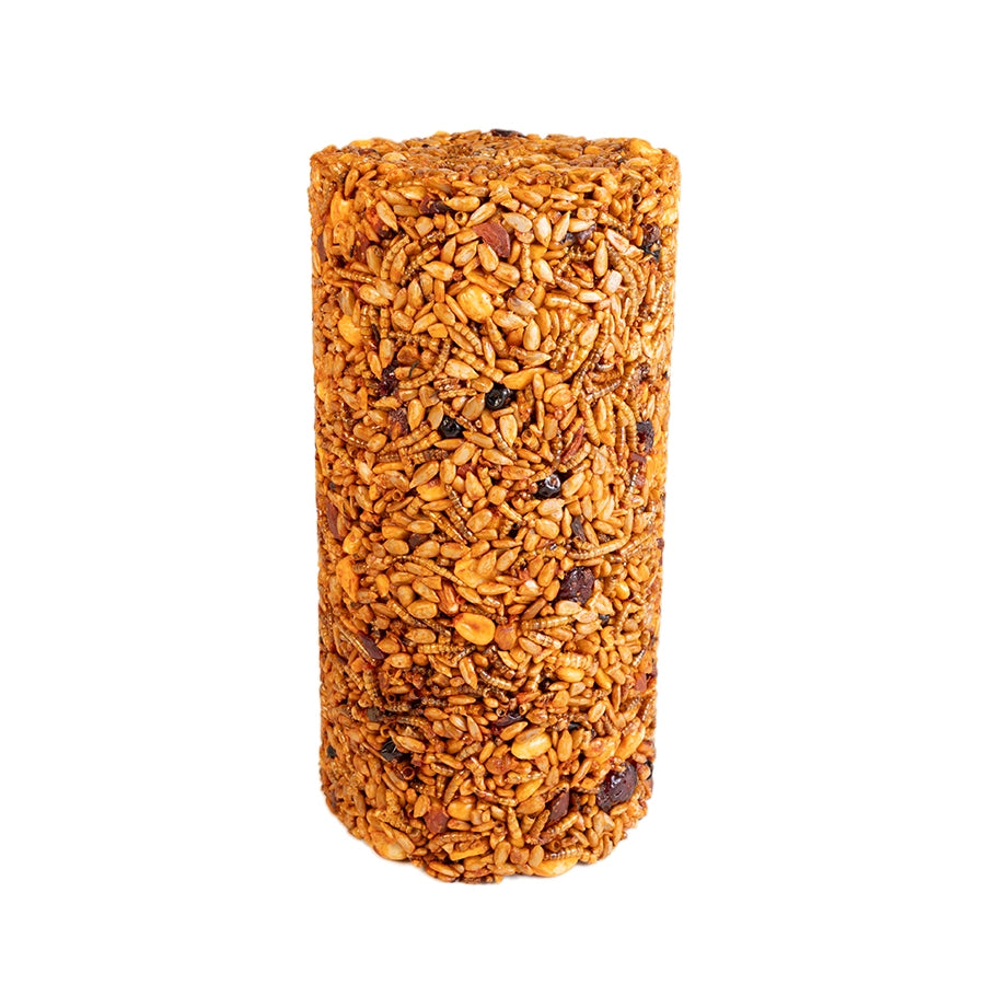 Sizzling Nuts & Bugs Seed Cylinder, Small