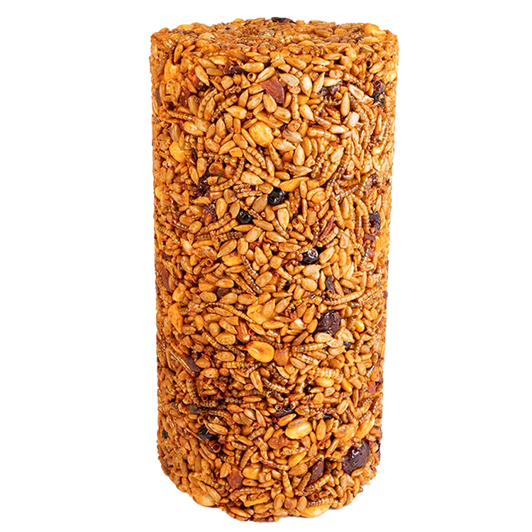 Sizzling Nuts & Bugs Seed Cylinder, Small, showcasing a mix of nuts, mealworms, and fruits for birds, designed to deter squirrels and offer mess-free feeding.