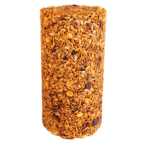 Sizzling Nuts & Bugs Seed Cylinder, Small