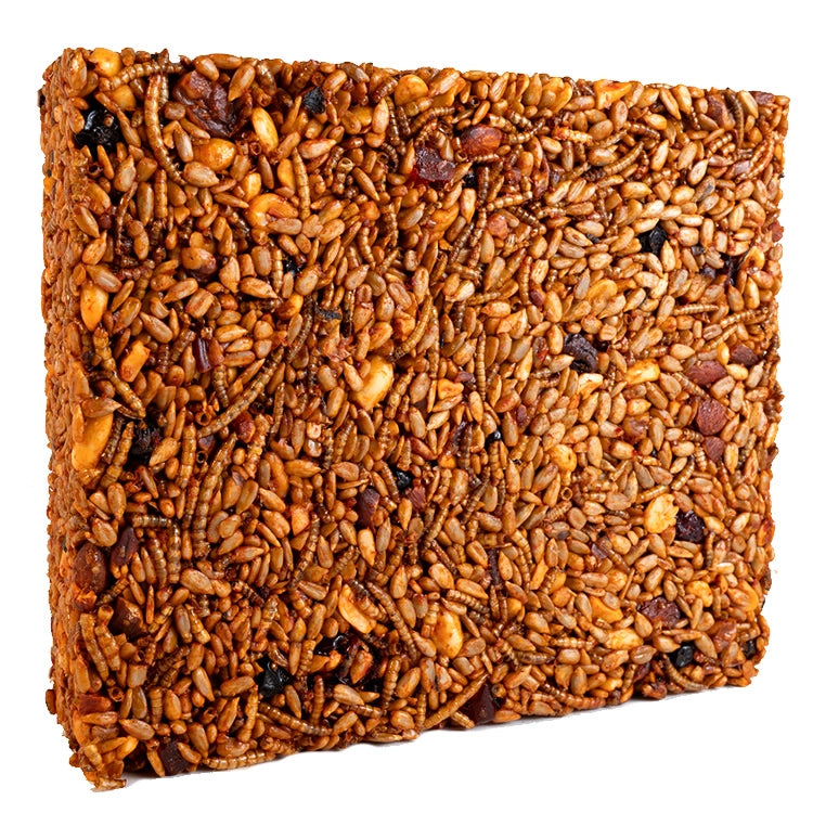 Sizzling Nuts & Bugs Seed Cake, Large, featuring a close-up of mixed seeds, nuts, mealworms, and dried fruits designed to attract various bird species.