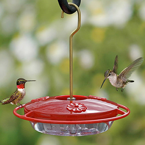 Two hummingbirds feeding on the Aspects HummZinger Mini, an 8 oz. feeder with wraparound perch, brass hanging hook, and built-in ant moat.