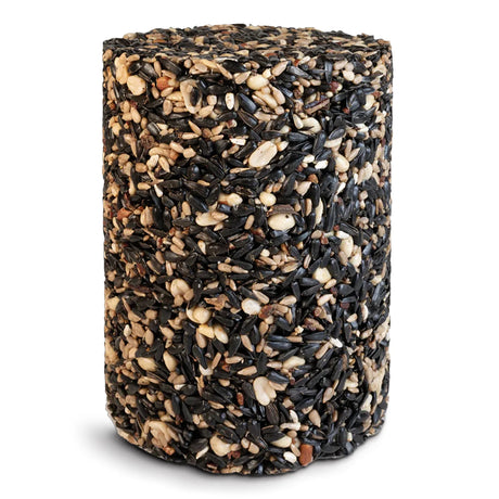 Duncraft Four Seasons Seed Cylinder Large, a compressed suet block made of assorted bird seeds and nuts, designed for year-round bird feeding and easy hanging.