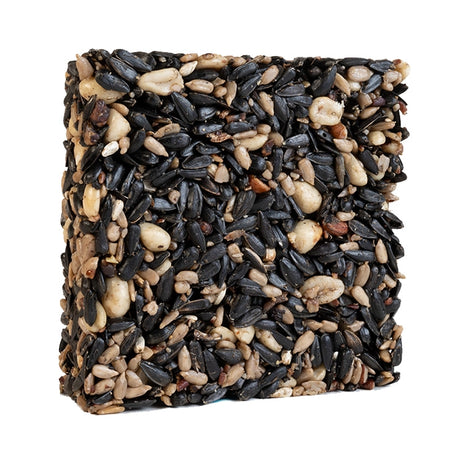 Four Seasons Seed Cake, Small; a square block embedded with various seeds and nuts, designed to attract and nourish diverse backyard birds year-round.