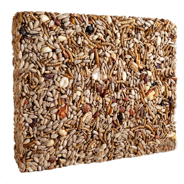 Nuts & Bugs Seed Cake, Large: A close-up of a square seed cake with nuts and mealworms, ideal for attracting birds like woodpeckers and chickadees.