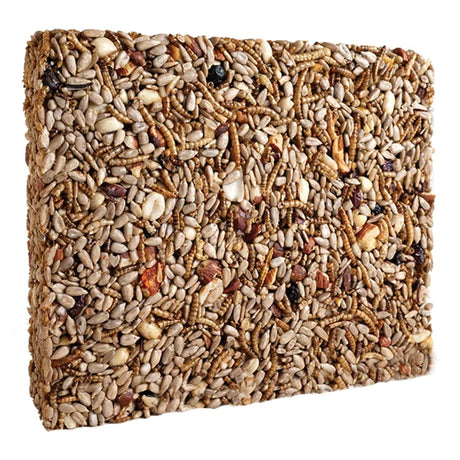 Nuts & Bugs Seed Cake, Large: A compressed block of sunflower seeds, grains, nuts, and mealworms, ideal for attracting woodpeckers and chickadees.