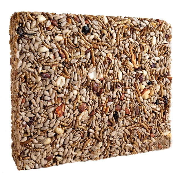 Nuts & Bugs Seed Cake, Large: A compressed block of sunflower seeds, grains, nuts, and mealworms, ideal for attracting woodpeckers and chickadees.
