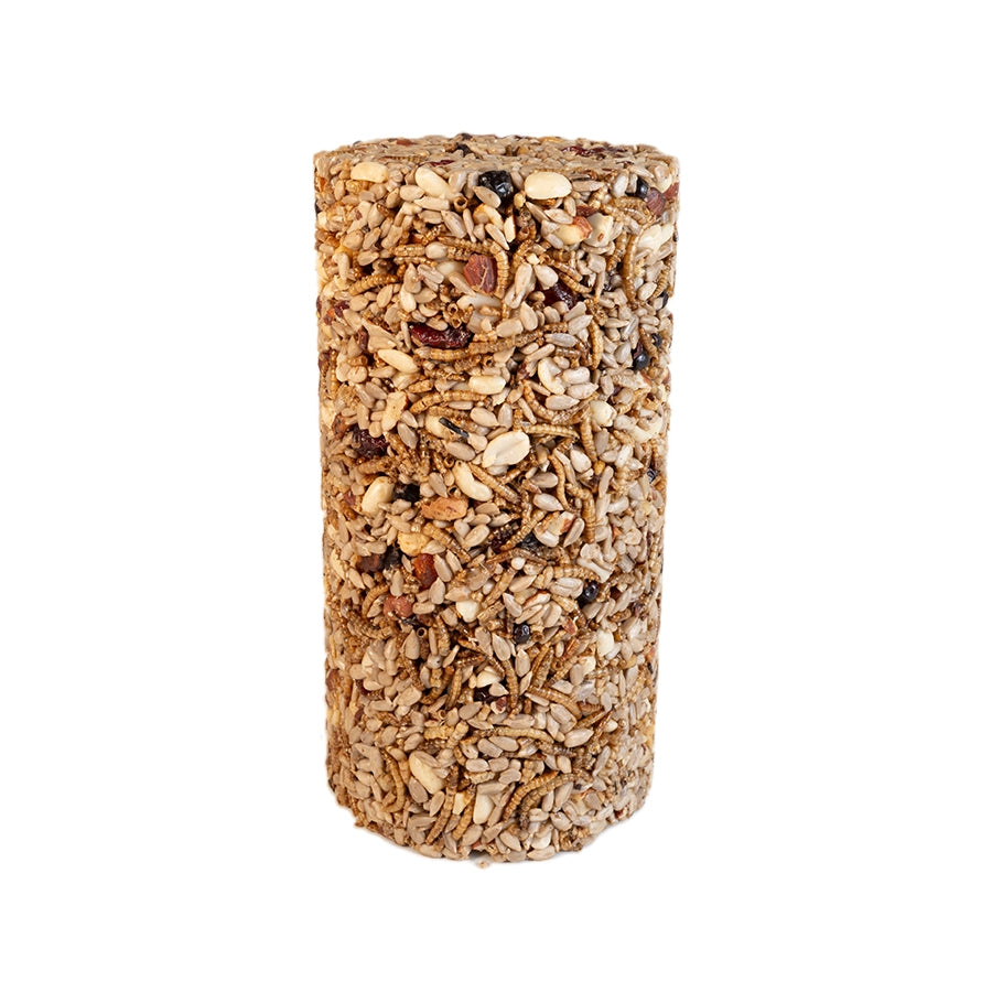 Nuts & Bugs Seed Cylinder, Small