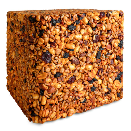 Sizzling Hi-Energy Woodpecker Jumbo Seed Block; a dense mix of nuts, seeds, suet, and dried fruits, perfect for woodpeckers, with squirrel-deterring capsaicin.