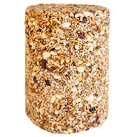 Duncraft Nuts & Bugs Seed Cylinder, Large; a compressed block with sunflower seeds, peanut pieces, dried mealworms, and grains for wild birds. Perfect for high-energy feeding.