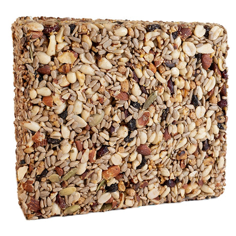 Hi-Energy Woodpecker Seed Cylinder, Large, close-up showing its mix of seeds and nuts, perfect for attracting woodpeckers and enhancing their energy.