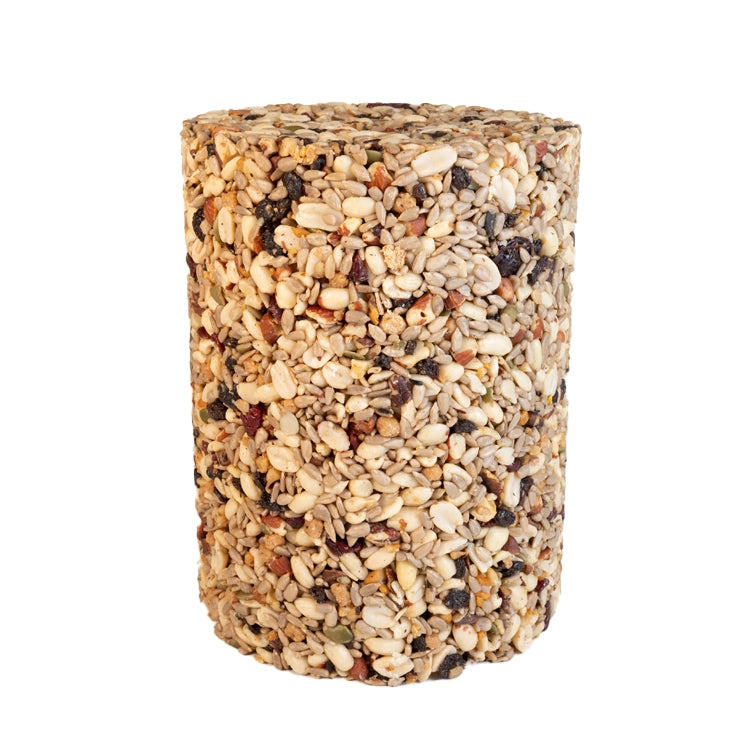 Hi-Energy Woodpecker Seed Cylinder, Large