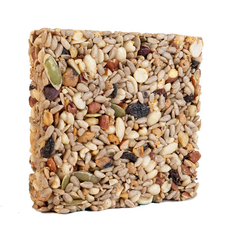 Duncraft Hi-Energy Woodpecker Seed Cake, Small, featuring a square shape packed with various nuts, ideal for attracting woodpeckers and nut-loving birds.