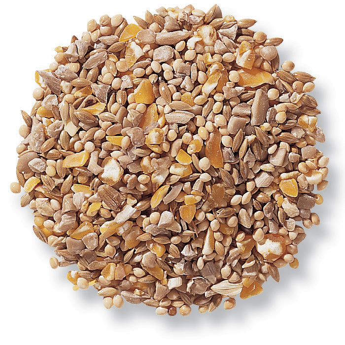 No mess bird seed sales