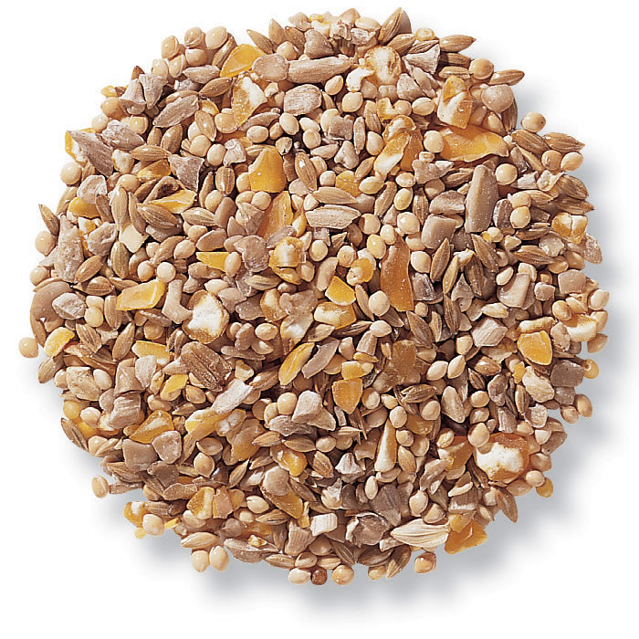 Duncraft Four Seasons No-Waste Wild Bird Seed, 5-lb bag, featuring a mix of whole sunflower hearts, white millet, and cracked corn grains.