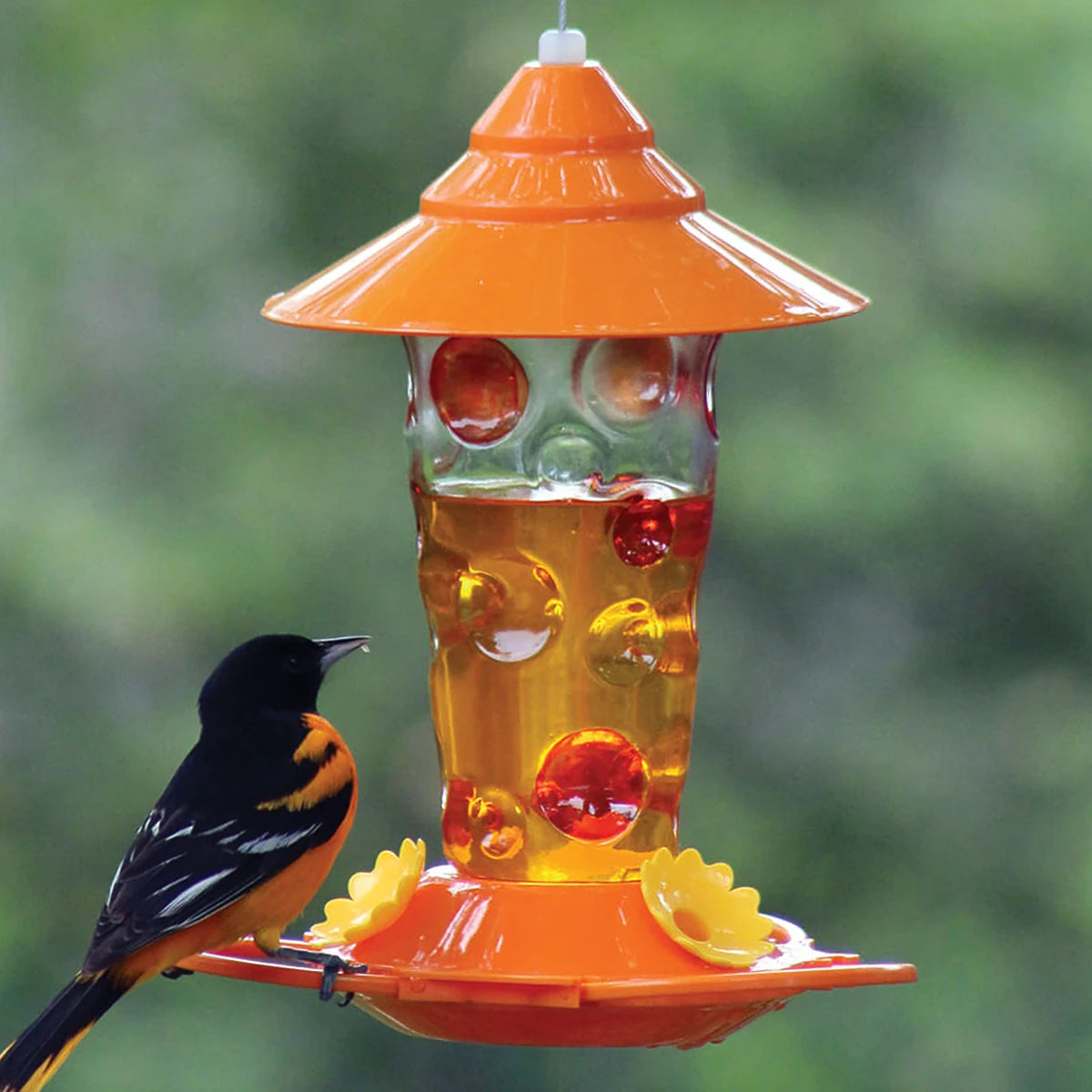 Dots Glass Oriole Feeder with three perches, glass reservoir, and hand-painted dots, featuring three flower feeding stations.