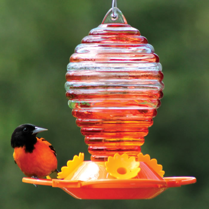 Glass Oriole Feeder with Painted Rings featuring a bird feeding from a gravity-fed, beehive-style nectar feeder with yellow flower ports and cable hanger.