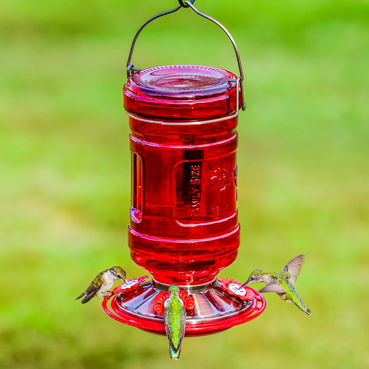 Water Cooler Style Glass Hummingbird Feeder