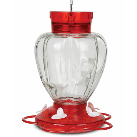 29 oz. Glass Hummingbird Feeder with red lid, featuring five feeding ports, ant moat, and perches for easy cleaning and viewing.