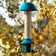 PestOff Squirrel Proof Green Metal Mixed Seed/Sunflower Feeder with clear cylinder and two birds feeding, two approaching. Autumn foliage background.