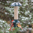 PestOff Squirrel Proof Green Metal Mixed Seed/Sunflower Feeder with two birds perched on spring-loaded perches, designed to keep squirrels and larger birds away.