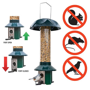 PestOff Squirrel Proof Green Metal Mixed Seed/Sunflower Feeder with two spring-loaded perches, clear seed tube, and metal frame. Holds 2.5 lbs of seed.