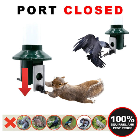 PestOff Squirrel Proof Green Metal Mixed Seed/Sunflower Feeder with weight-activated perches closes ports when heavy animals trigger, blocking pests like squirrels and crows.