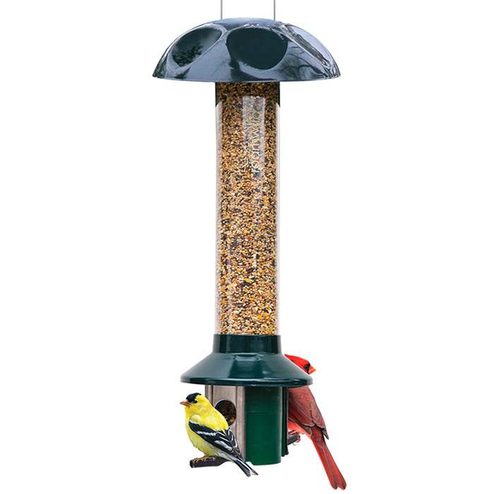 PestOff Squirrel Proof Green Metal Mixed Seed/Sunflower Feeder with two birds perched, showcasing its spring-loaded perches and clear seed tube.