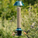 PestOff Squirrel Proof Bird Feeder 2.0 with two birds feeding, features spring-loaded perches to deter squirrels, holds up to 4 lbs of seed.