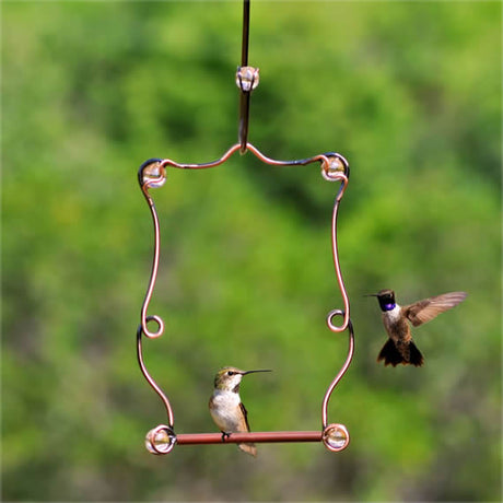 Beaded Hummingbird Perch with two birds on a feeder, featuring a durable copper frame and decorative beads for easy bird watching.